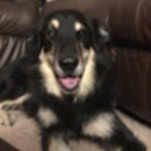 Meet your Posher, Deanna